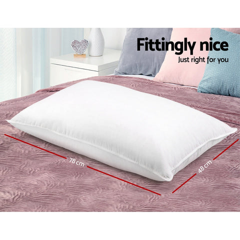NNEDSZ Bedding Set of 2 Goose Feather and Down Pillow - White