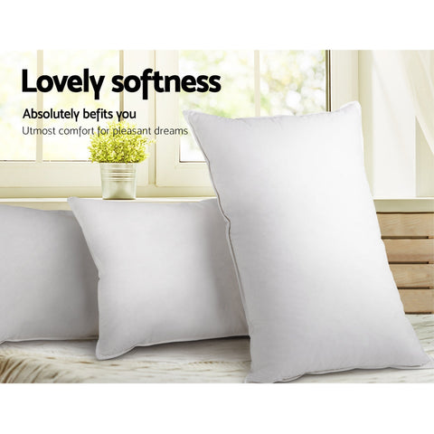 NNEDSZ Bedding Set of 2 Goose Feather and Down Pillow - White